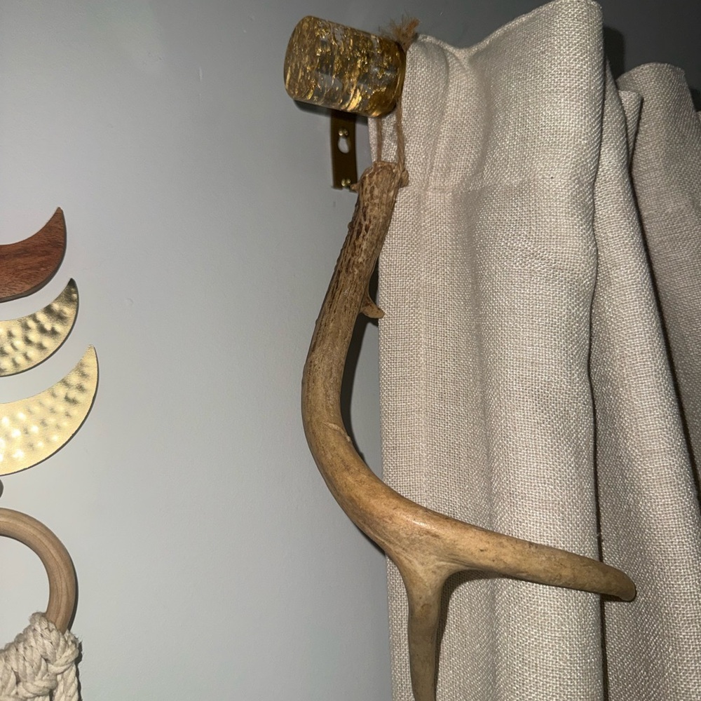 Natural Deer Antler Wall Accent - Rustic Brown Home Wall Decor